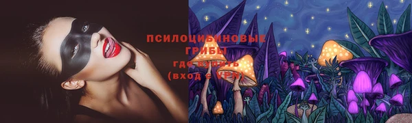 стафф Алексин