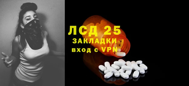стафф Алексин