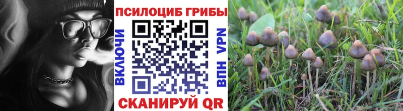 купить наркотики сайты  Нефтекамск  Галлюциногенные грибы мицелий 